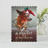Cute Chihuahua met een Santa Hat Feestdagenkaart (Staand voorkant)