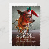 Cute Chihuahua met een Santa Hat Feestdagenkaart (Voorkant / Achterkant)