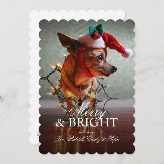 Cute Chihuahua met een Santa Hat Feestdagenkaart (Voorkant / Achterkant)