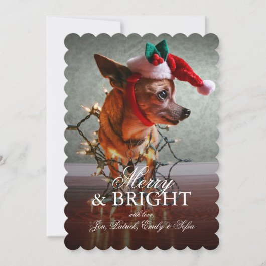Cute Chihuahua met een Santa Hat Feestdagenkaart (Voorkant)