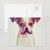 Cute Chihuahua met Paarse Funny Mustache Briefkaart (Voorkant / Achterkant)