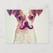 Cute Chihuahua met Paarse Funny Mustache Briefkaart (Voorkant)