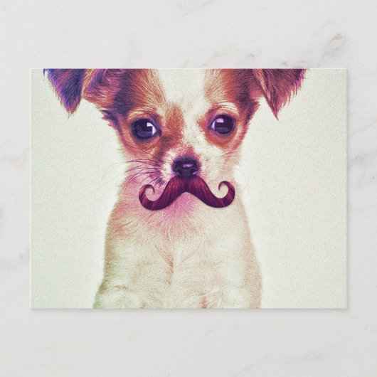 Cute Chihuahua met Paarse Funny Mustache Briefkaart (Voorkant)