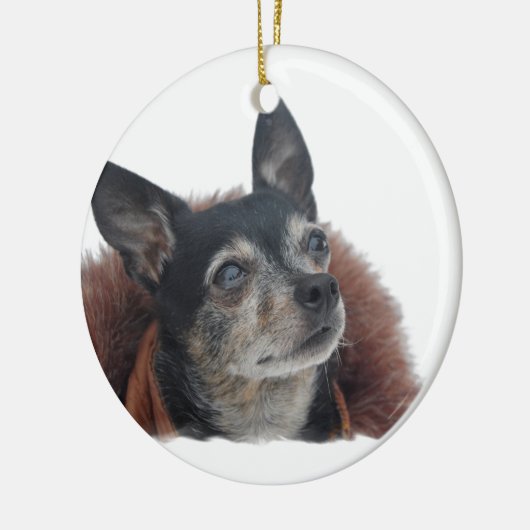 Cute Chihuahua Ornament (Links)