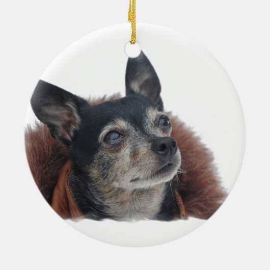 Cute Chihuahua Ornament (Achterkant)