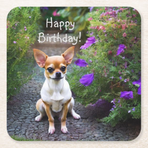 Cute Chihuahua Paper Onderzetters
