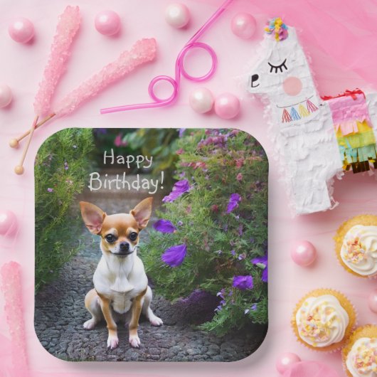 Cute Chihuahua Papieren Bordje (Feest)