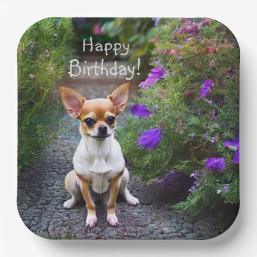 Cute Chihuahua Papieren Bordje (Voorkant)