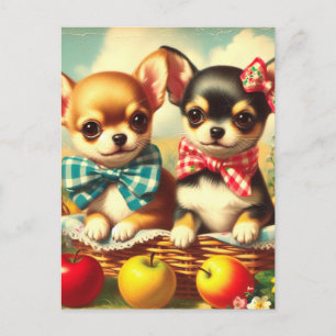Cute Chihuahua Puppies Briefkaart
