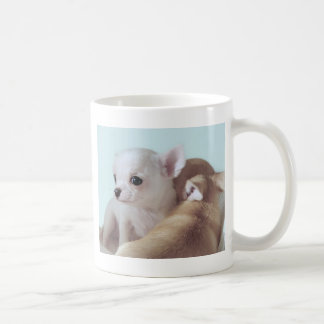 Cute chihuahua puppies koffiemok