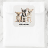 Cute Chihuahua Puppies Vierkante Sticker (Tas)