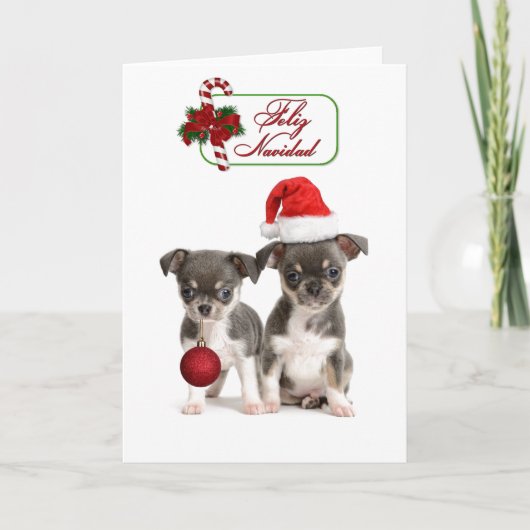 Cute Chihuahua Puppies voor kerstmis Feestdagen Kaart (Voorkant)