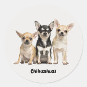 Cute Chihuahua Pupplies Ronde Sticker (Voorkant)
