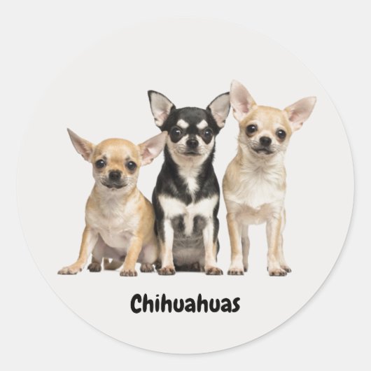 Cute Chihuahua Pupplies Ronde Sticker (Voorkant)