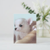 Cute chihuahua puppy briefkaart (Staand voorkant)