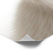 Cute Chihuahua Puppy Dog Portret Poster (Hoek)