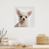 Cute Chihuahua Puppy Dog Portret Poster (Keuken)