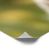 Cute Chihuahua Puppy Poster (Hoek)