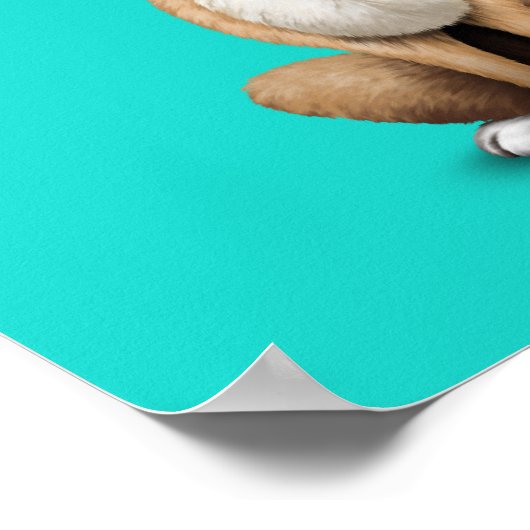 Cute Chihuahua Puppy Wearing Sunbril Poster (Hoek)