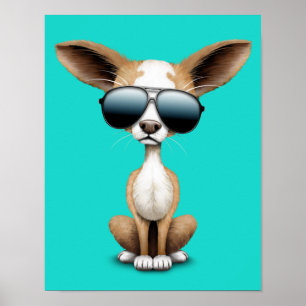 Cute Chihuahua Puppy Wearing Sunbril Poster