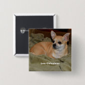 Cute Chihuahua Resting Vierkante Button 5,1 Cm (Voorkant /achterkant)