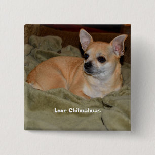 Cute Chihuahua Resting Vierkante Button 5,1 Cm