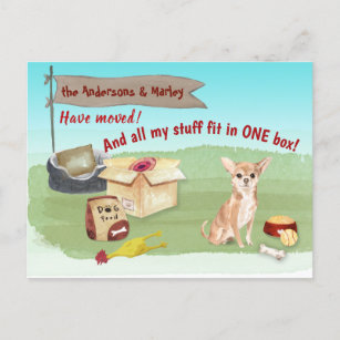 Cute Chihuahua Toys, ons nieuwe thuis   Briefkaart