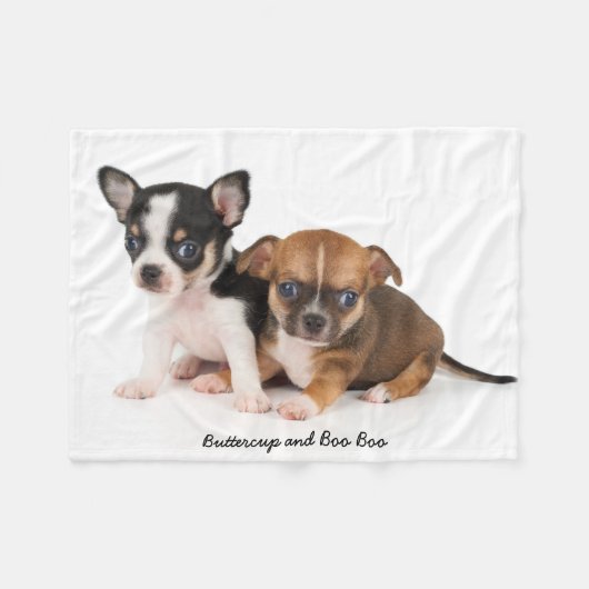 Cute Chihuahuas Photo Fleece Blanket (Voorkant (Horizontaal))