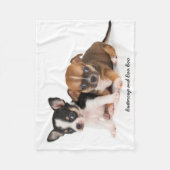 Cute Chihuahuas Photo Fleece Blanket (Voorkant)