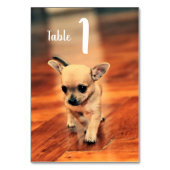 Cute Chihuahuas Photo Table Numbers Kaart (Achterkant)