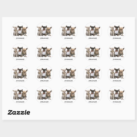 Cute Chihuahuas Ronde Sticker (Vel)