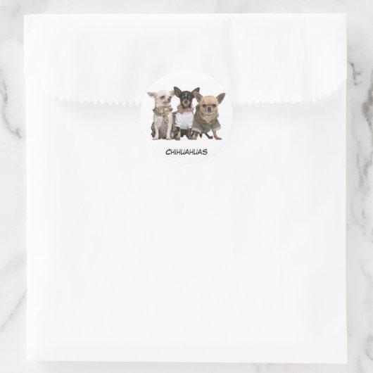 Cute Chihuahuas Ronde Sticker (Tas)