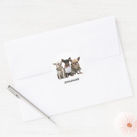 Cute Chihuahuas Ronde Sticker (Envelop)