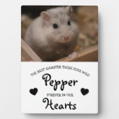 Cute Children's Pet Memorial Fotoplaat (voorkant)