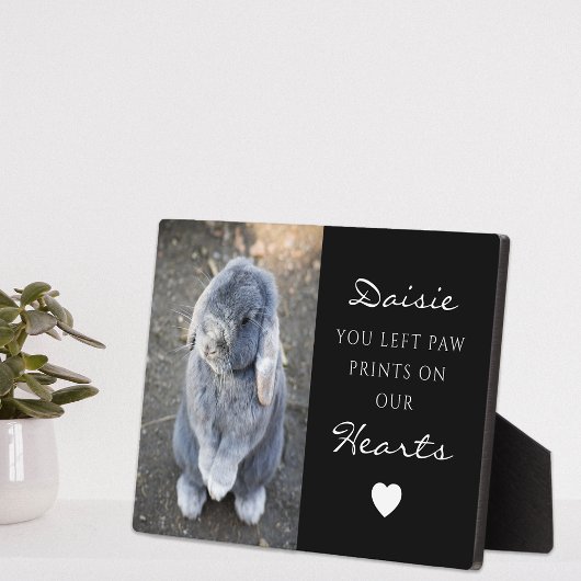 Cute Children's Pet Photo Memorial Fotoplaat