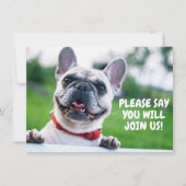 Cute Child's (Elke leeftijd) Franse bulldog Birthd Kaart (Voorkant)