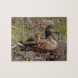 Cute Chillin' Mallard Ma Duck & Baby Ducking Legpuzzel