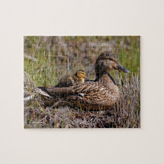 Cute Chillin' Mallard Ma Duck & Baby Ducking Legpuzzel (Horizontaal)