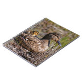 Cute Chillin' Mallard Ma Duck & Baby Ducking Notitieboek (Linkerzijde)