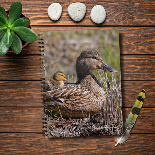 Cute Chillin' Mallard Ma Duck & Baby Ducking Notitieboek