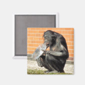 CUTE CHIMP MAGNEET (Voorkant / Achterkant)