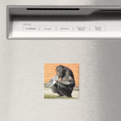 CUTE CHIMP MAGNEET (Insitu (Vaatwasser))