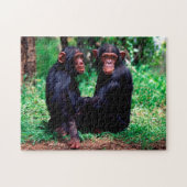 Cute Chimpansee Siblings, Jigzaag Puzzle Legpuzzel (Horizontaal)