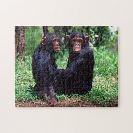 Cute Chimpansee Siblings, Jigzaag Puzzle Legpuzzel (Horizontaal)