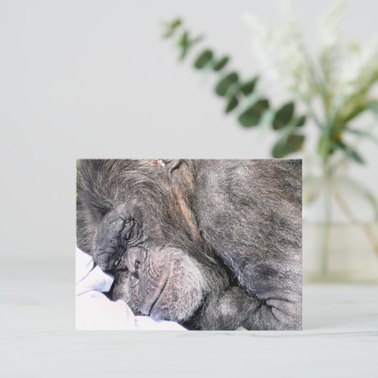 CUTE CHIMPANZEE BRIEFKAART (Staand voorkant)