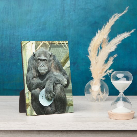 CUTE CHIMPANZEE FOTOPLAAT (Zijkant)