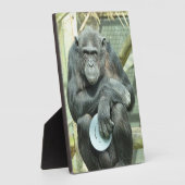 CUTE CHIMPANZEE FOTOPLAAT (Zijkant)