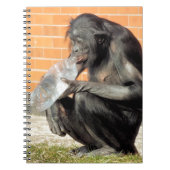 CUTE CHIMPANZEE NOTITIEBOEK (Voorkant)