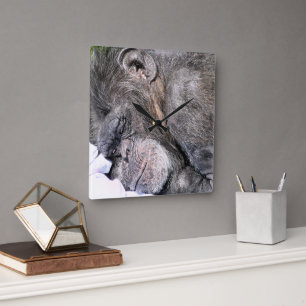 CUTE CHIMPANZEE VIERKANTE KLOK