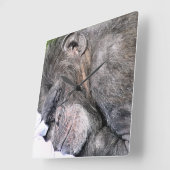CUTE CHIMPANZEE VIERKANTE KLOK (Hoek)